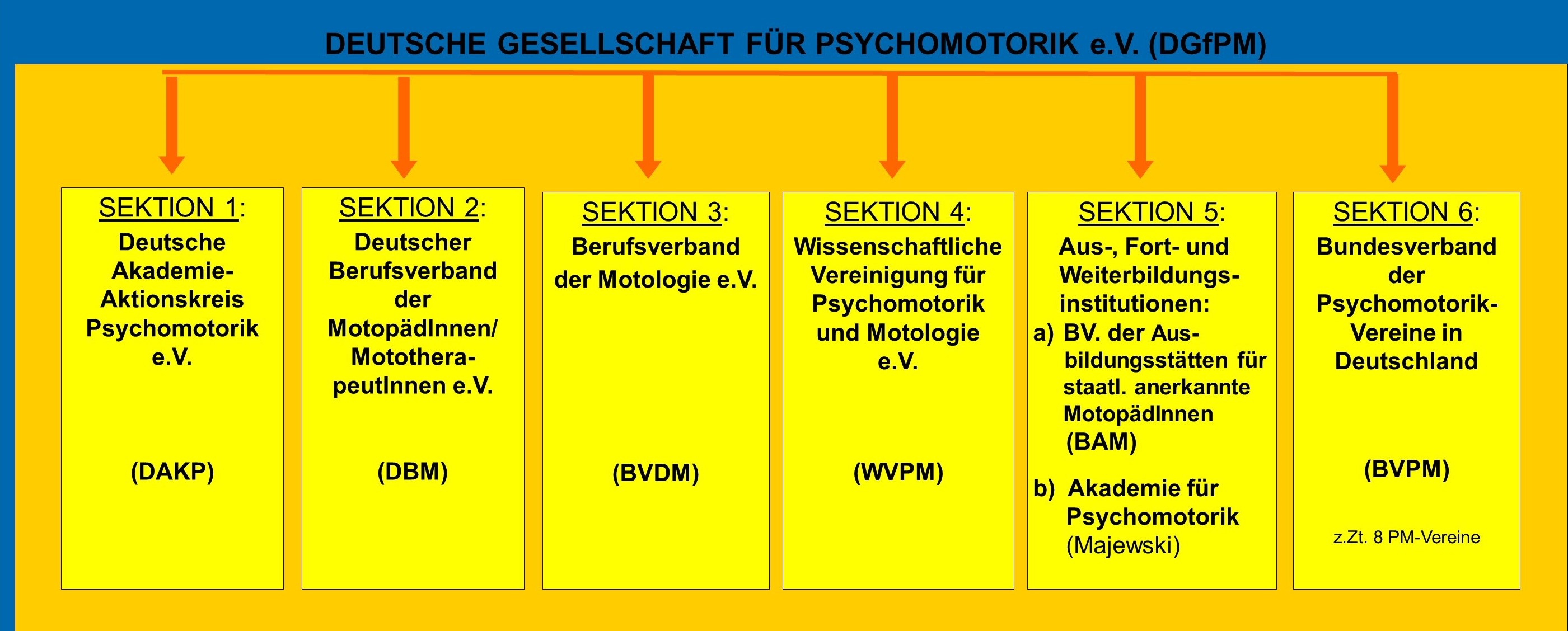 Organigramm der Mitgliedssektionen in der Deutschen Gesellschaft für Psychomotorik